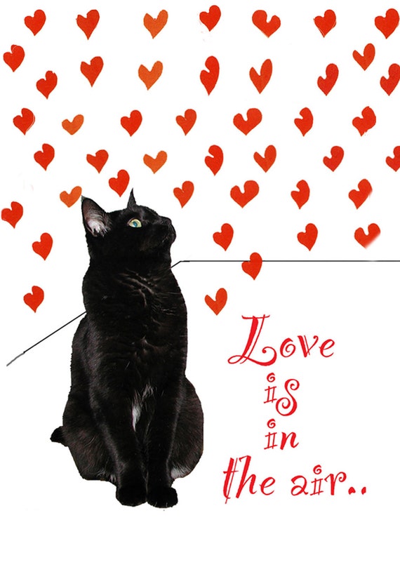 Ti amo Cat Stampa artistica, gatto nero, gatto amante, detti di