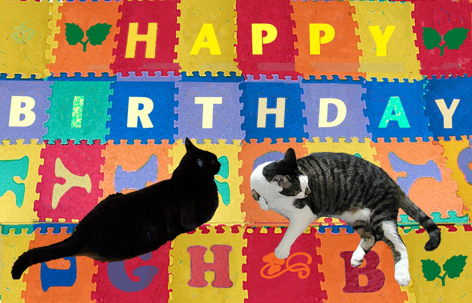 Happy Birthday Card for Cat Lovers Crazy Cat Lady Cat Moms - Etsy