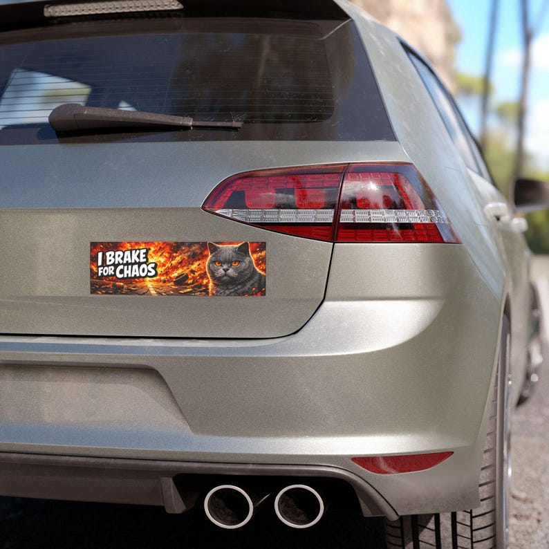 I Brake for Chaos Funny Car Magnet 10x3 Inch | Meme Bumper Sticker ...