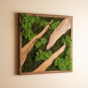 Olive Wood & Preserved Moss Wall Art: Square Farmhouse Decor
