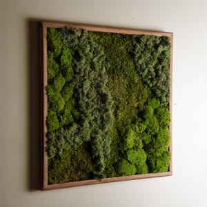 Op de afbeelding: Vierkante ingelijste wandkunst met geconserveerd mos in verschillende groentinten. Het mos is zo gerangschikt dat het een textuurrijke, natuurlijke uitstraling heeft, gevat in een warmhouten frame. Decoratief item voor interieur.