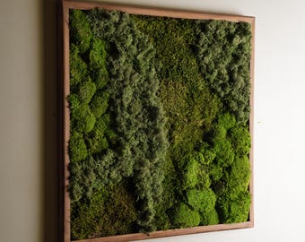 Preserved Moss Wall Art: Natural Wood Frame, Rustic Greenery Decor