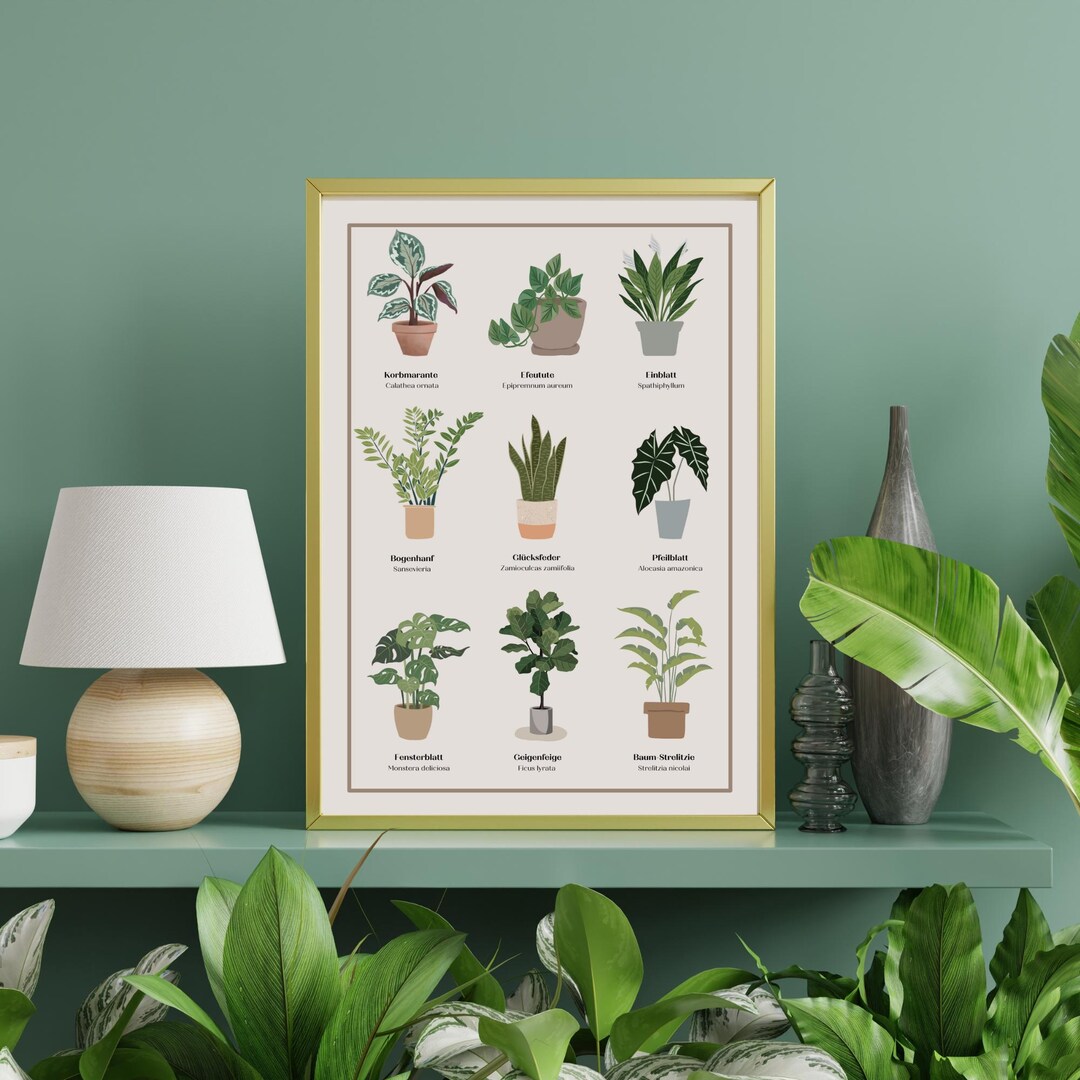 Plant Poster Digital Print With Plant Names Botanical Print Plant Lover ...