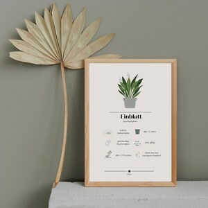 Pflanzenpflege-Guide Einblatt als Poster und Postkarte Botanical Print Digitales Poster Einblatt Plant Lover Gift Einblatt Printable PDF