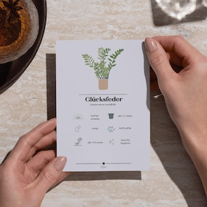Pflanzenpflege-Guide Glücksfeder Postkarte Botanical Print Glücksfeder Plant Lover Gift Printable PDF