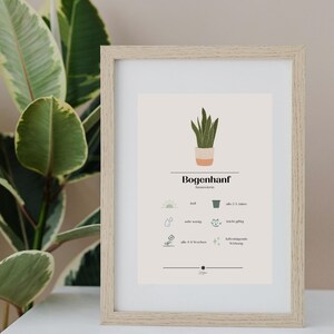 Pflanzenpflege-Guide Bogenhanf als Poster und Postkarte Botanical Print Digitales Poster Bogenhanf Plant Lover Gift Bogenhanf Printable PDF
