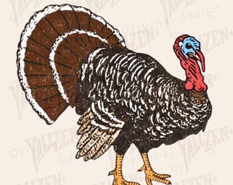 Pode incluir: Ilustração em estilo vintage de um peru. O peru tem penas da cauda marrons e brancas, penas do corpo pretas e brancas e uma barbela vermelha. O texto "INSTANT DOWNLOAD PNG" está na parte inferior.