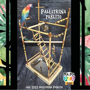 Pode incluir: Um suporte de jogo de madeira para pássaros com uma escada, um prato de comida de metal e uma variedade de brinquedos coloridos. O suporte é decorado com um padrão listrado e o texto "Palestrina Pablito" é impresso na frente. O suporte é projetado para pássaros pequenos e é feito de materiais naturais.