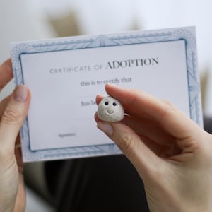 Może przedstawiać: Mała, okrągła, nakrapiana, szara figurka z kamienia z uśmiechniętą twarzą i dwoma małymi czarnymi oczami. Figurka jest trzymana przed świadectwem adopcji.