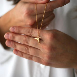 Può includere: Una collana con pendente a forma di colibrì dorato. Il pendente è una silhouette dettagliata di un colibrì con le ali spiegate. La catena della collana è delicata e anch'essa dorata. La collana è tenuta da una persona che indossa una camicia bianca.