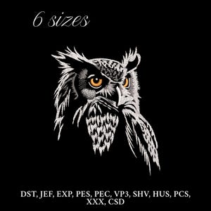 May include: An embroidered owl design with detailed white and grey feathers, piercing yellow eyes, and a sharp beak, set against a black background. The text "6 sizes" is above the owl. Below the owl are embroidery file formats.