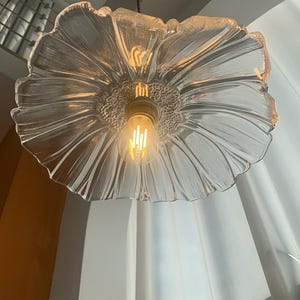 May include: A clear glass pendant light shaped like a flower with a textured, petal-like design. The light fixture has a warm, glowing bulb at its center, suspended from a brown cord. The background includes a white curtain and a glimpse of a window.