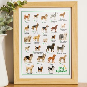 Dog Alphabet Print – A to Z Dog Breeds Wall Art, Nursery Decor, Dog Poster, abc of Dogs, Animal Alphabet Art, A3, A4, US Letter Sizes, PDF