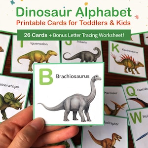 Dinosaur Alphabet Cards, Letter Tracing Worksheet, Toddler Preschool Printable Activity, Busy Book Worksheets, Match and Trace Letters, PDF