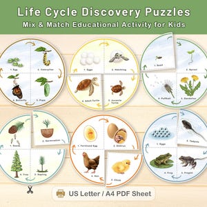 May include: Educational Life Cycle Discovery Puzzles for children. The image shows six circular puzzles illustrating the life cycles of a butterfly, turtle, dandelion, tree, chicken, and frog. Each puzzle has four stages, with the text "Life Cycle Discovery Puzzles" at the top.