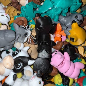 Mini Animals | Mystery Box | Pocket Pets | 3D Printed Fidget Toy | Mini Fidget Animals | Baby Animals