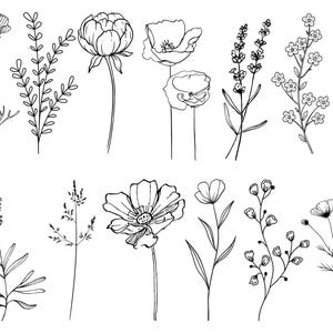 Bundle Svg de fleurs sauvages, prairie de fleurs Svg, bordure de fleurs de printemps SVG, bouquet de fleurs minimaliste, clipart fleurs sauvages, décoration Svg de croquis de fleurs