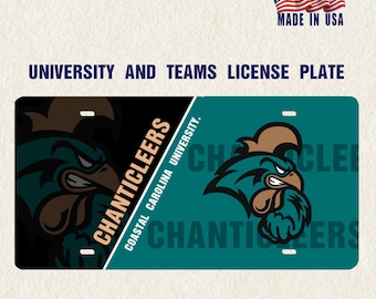 Personalized License Plate for Sport Team Custom License Plate Tag Car Accessory Personalized University College Sports Sign Divided Plate