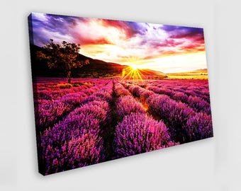 Lavendelfeld bei Sonnenuntergang – Leinwandbild, Wandbild, Gemälde, Poster, Druck