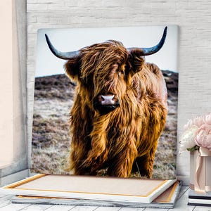 Highland Cow Wall Art Canvas Highland Cow Painting Highland Cow Poster Animal Wall Art