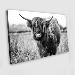Highland Cow Black and White Highland Cow Canvas Wall Art Highland Cow Painting Highland Cow Wall Art Highland Cow Poster