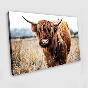 Highland Cow Painting Highland Cow Canvas Wall Art Highland Cow Wall Art Highland Cow Poster Highland Cow Poster Animal Wall Art