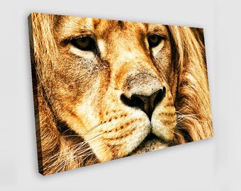 Leeuw op canvas, schilderij van een leeuw, muurdecoratie met een leeuw, schilderij van een leeuw, leeuwenposter, kunstwerk met een leeuw als dierenmuurdecoratie, muurdecoratie met een leeuw als dierenmuurdecoratie