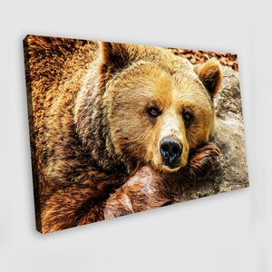 Grizzly Bear Canvas Wall Art Brown Bear Wall Art Grizzly Bear Poster Bear Wall Decor Bear Painting Animal Wall Art Animal Print