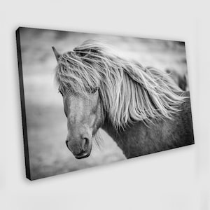 Horse Wall Art Horse Canvas Wall Art Black and White Print Horse Painting Horse Poster Horse Print Animal Wall Art Horse Home Decor