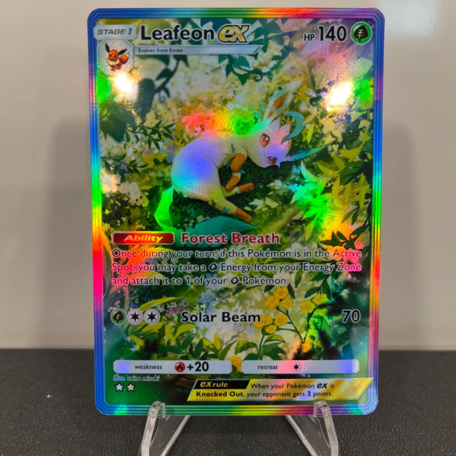 希少 イーブイ レインボーホロ ずかんカード 希少 イーブイ レインボー