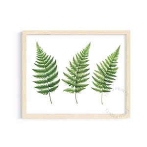Fern Print Set - Botanical Digital Download, Green Minimalist Wall Art for Living Room Decor 43
