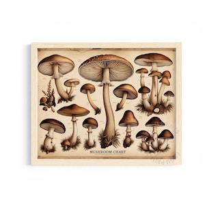 Mushroom Chart Digital Print | Vintage Fungi Wall Art | Cottagecore Decor | Digital Download 414