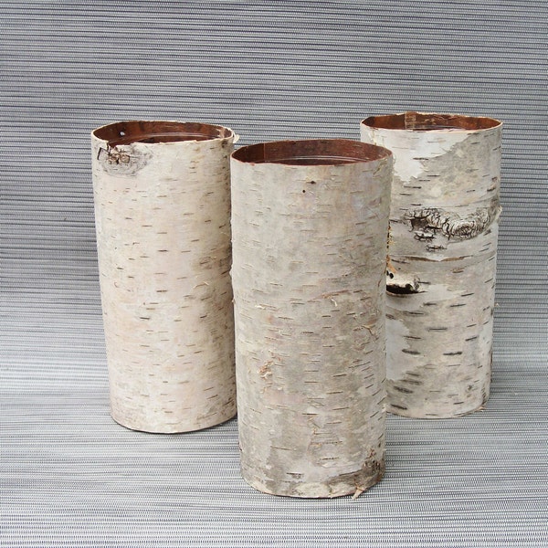 Birch bark vases set of 3