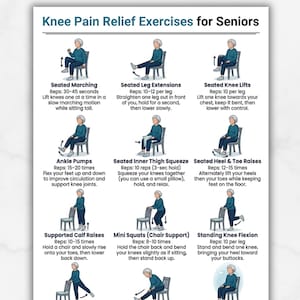 May include: A printable guide titled "Knee Pain Relief Exercises for Seniors" with illustrations of various seated exercises. The exercises include marching, leg extensions, knee lifts, ankle pumps, inner thigh squeezes, heel and toe raises, calf raises, mini squats, and more.