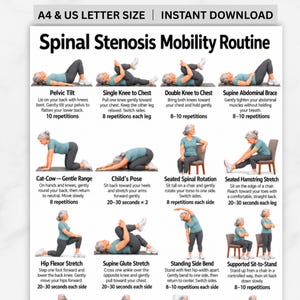 以下が含まれることがあります： Spinal Stenosis Mobility Routineと題されたデジタルチャート。様々な運動を行う人物のイラストが12点描かれています。各運動にはタイトル、説明文、A4およびUSレターサイズ用の繰り返し回数が記載されています。