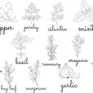 Può includere: Illustrazione in bianco e nero di varie erbe e spezie, tra cui pepe, prezzemolo, coriandolo, menta, basilico, rosmarino, origano, timo, cipollotto, alloro, maggiorana e aglio, ognuna etichettata.