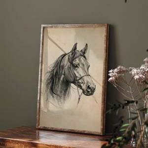 Vintage horse etching sketch illustration featuring a detailed equestrian horse head drawing on an antique beige background, classic farmhouse animal wall art style.