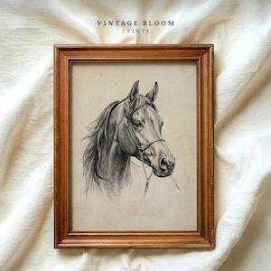 Vintage horse etching sketch illustration featuring a detailed equestrian horse head drawing on an antique beige background, classic farmhouse animal wall art style.