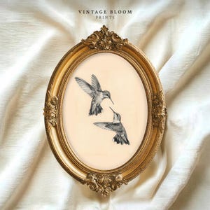 May include: An oval, gold-colored ornate frame with a print of two hummingbirds. The hummingbirds are depicted in shades of gray and black, with their wings spread. The print is set against a cream-colored background. The text "VINTAGE BLOOM PRINTS" is at the top.