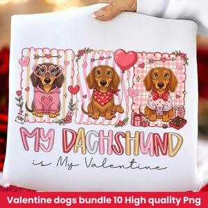 Peut inclure: Coussin blanc avec un motif de Saint-Valentin repr&eacute;sentant trois teckels. Les chiens portent des lunettes en forme de c&oelig;ur, un bandana rouge et un n&oelig;ud papillon. Le texte dit "My Dachshund is My Valentine".