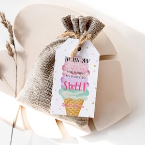 Editable Ice Cream Favor Thank You Tags Ice Cream Birthday Party Girl Pink Purple Gift Goodie Bag Labels Template PRINTABLE 016