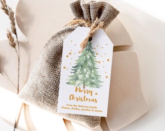 Editable Christmas tree, winter onderland birthday party Favor Tags , Gift Tag Digital Corjl Template 012