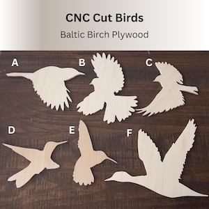 Wooden Bird Cutouts – Unfinished Birds for Crafts, DIY Projects and Rustic Decor - DIY Paintable Bird Shapes - Shapes for Wall Art and Signs