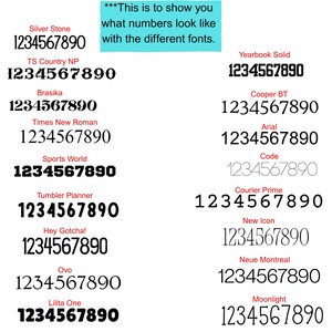 May include: A digital chart displaying the numbers 1 through 0 in sixteen distinct black font styles, each labeled with its name in red text. A central light blue box contains the text: ***This is to show you what numbers look like with the different fonts.