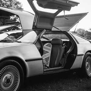 May include: A silver DeLorean time machine with the doors open, revealing the interior. The car is parked on a grassy field.