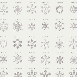 Snow Crystals Ash by Amy Sinibaldi for Art Gallery Fabrics Little Town