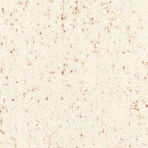 Shetland Flannel Speckle Dove