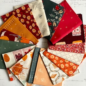 Season & Spice - FQ Fabric Wonders by AGF Studio for Art Gallery Fabrics  Bundle 16 Fat Quarters