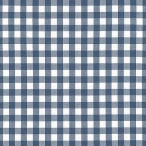 May include: A blue and white gingham pattern. The pattern is made up of small squares.