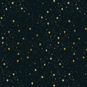 Primavera - Stars - Black Metallic Fabric Rifle Paper Co. / Cotton and Steel